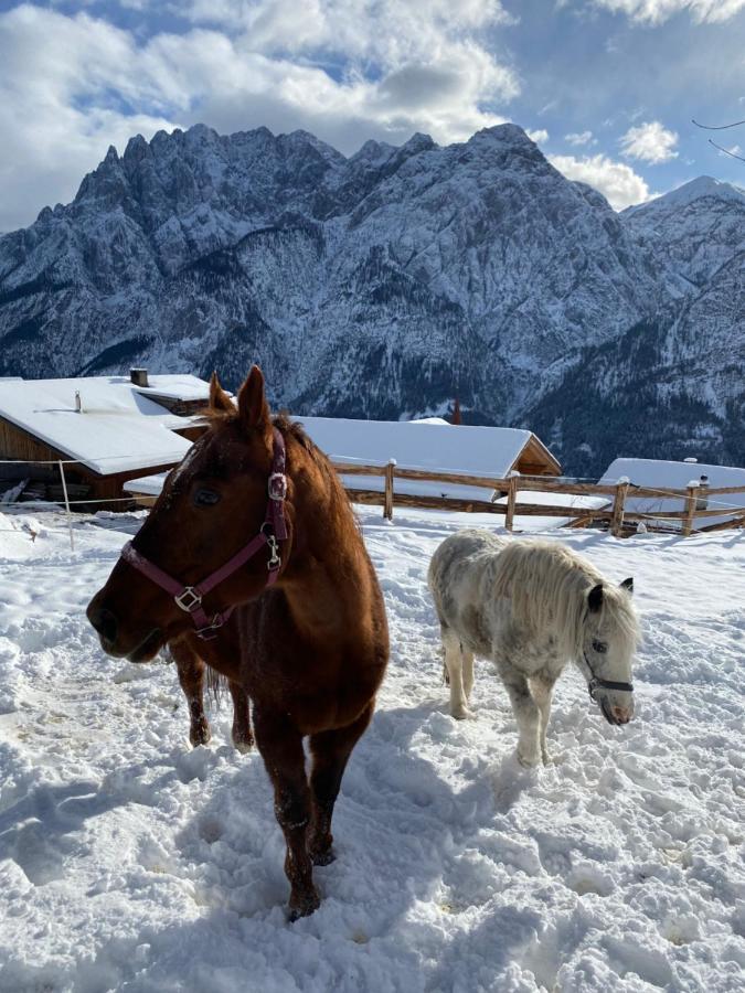 Southern Stables Ranch Bannberg 외부 사진